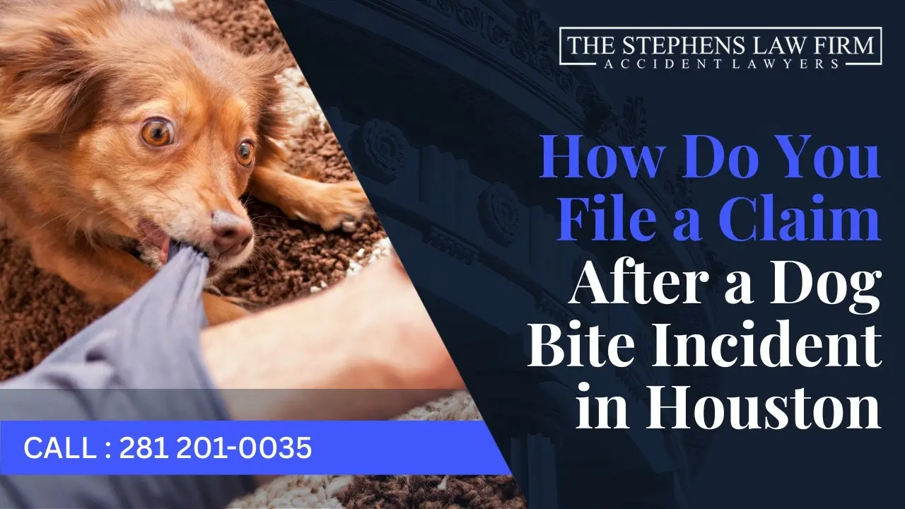 how do you file a claim after a dog bite incident in houston video thumbnail