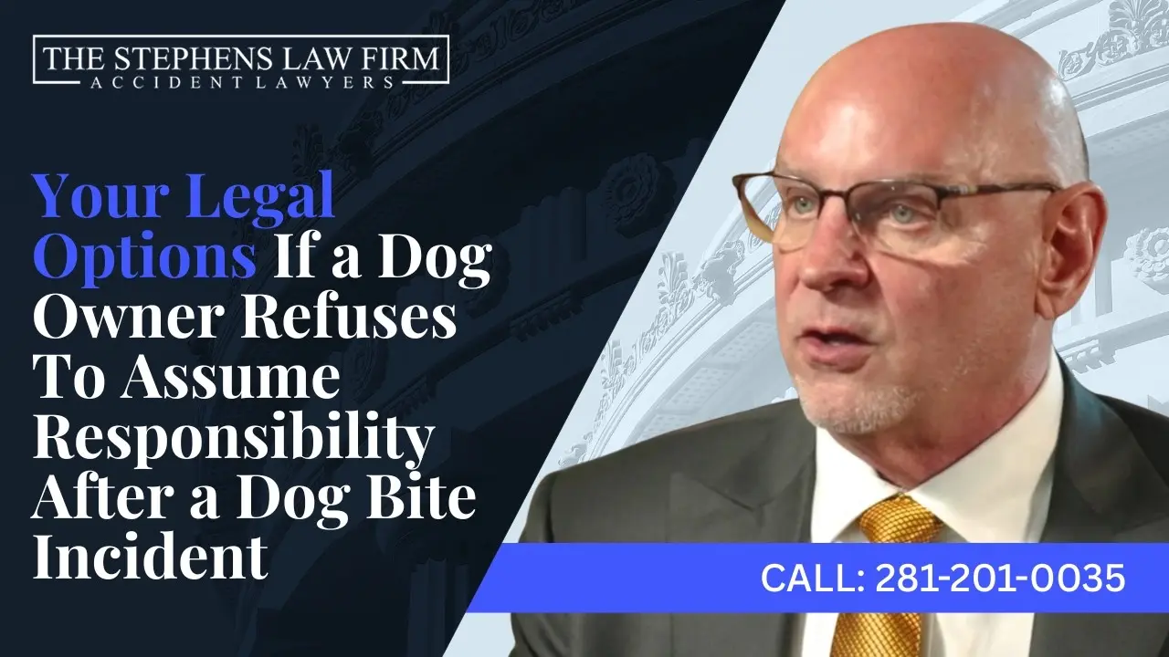 your legal options if a dog owner refuses to assume responsibility after a dog bite video thumbnail